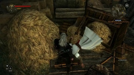 the-witcher-2-assassins-creed-easter-egg-433x242-1